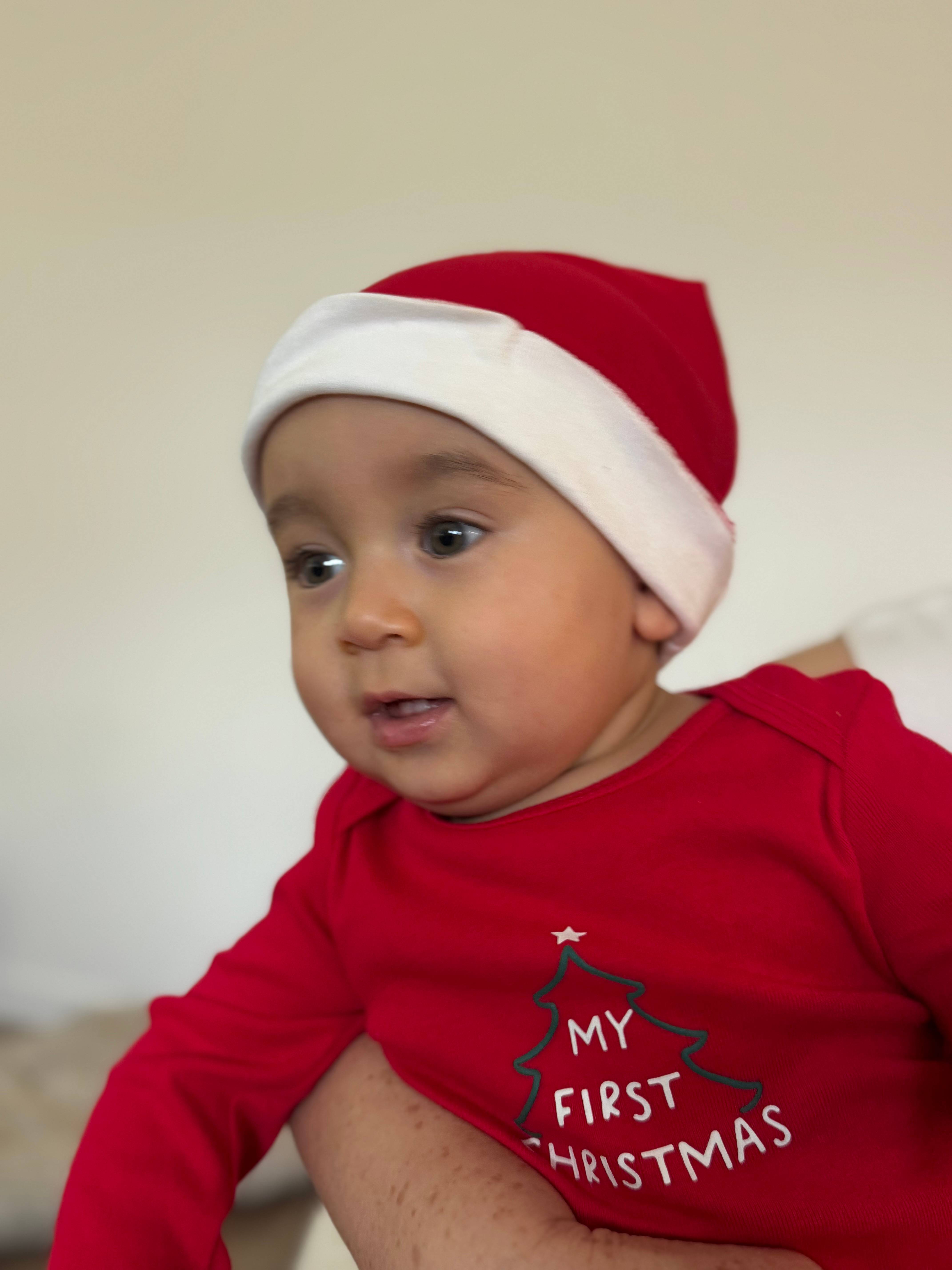 Eduardo Santini Ayon