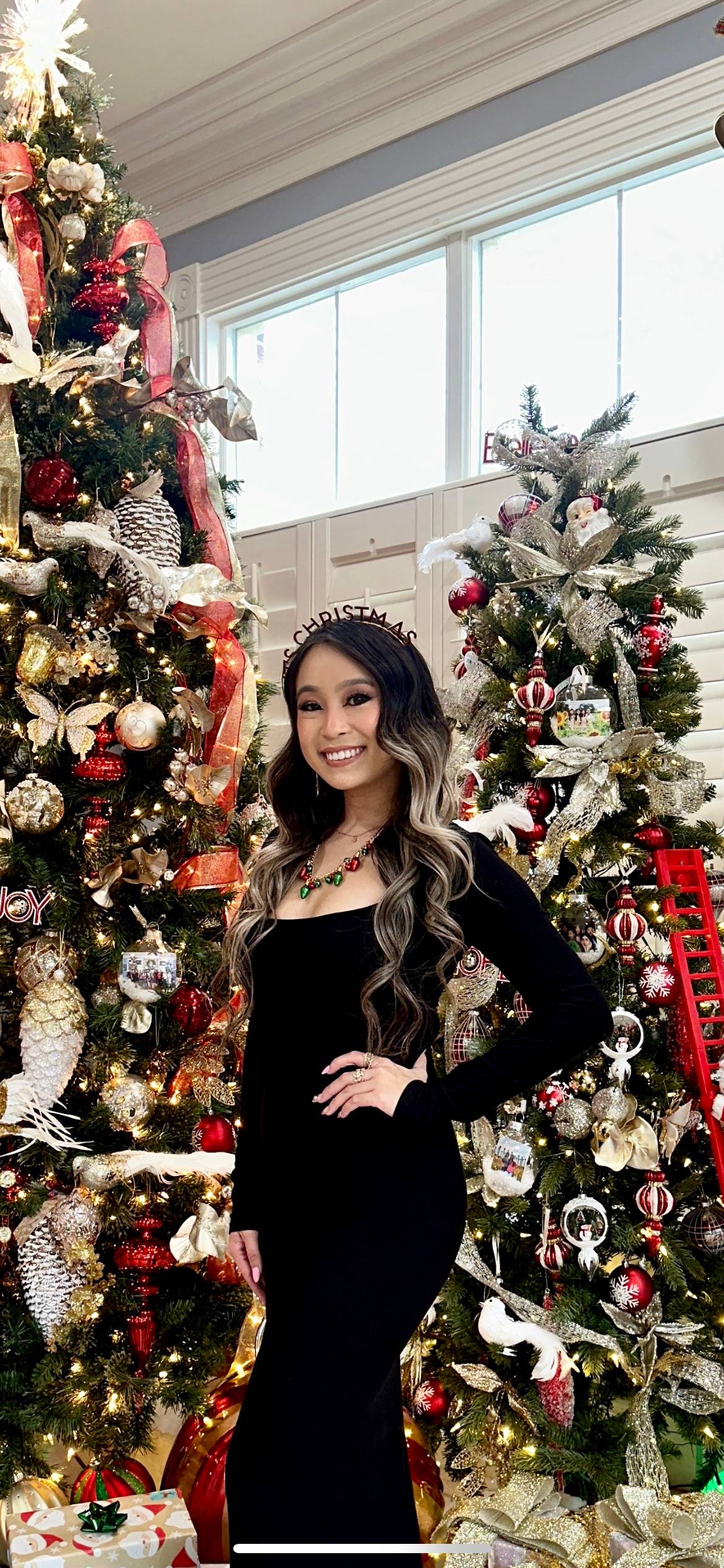 Vi Nguyen