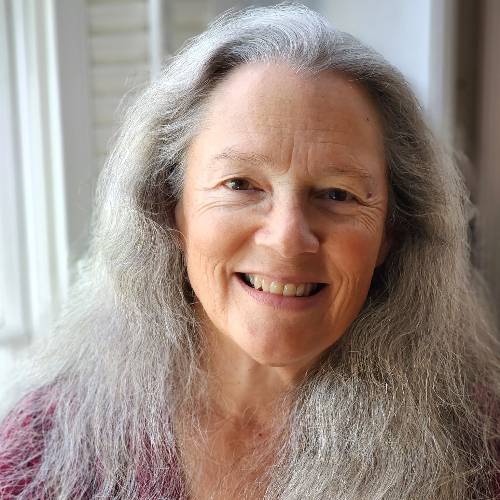 Polly van der Linde