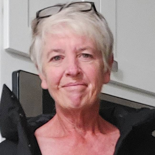 Wendy Schwark
