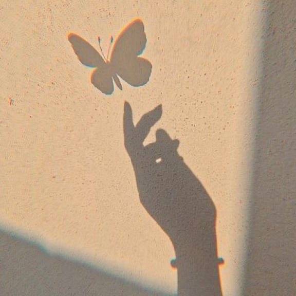 Sloane Petersen