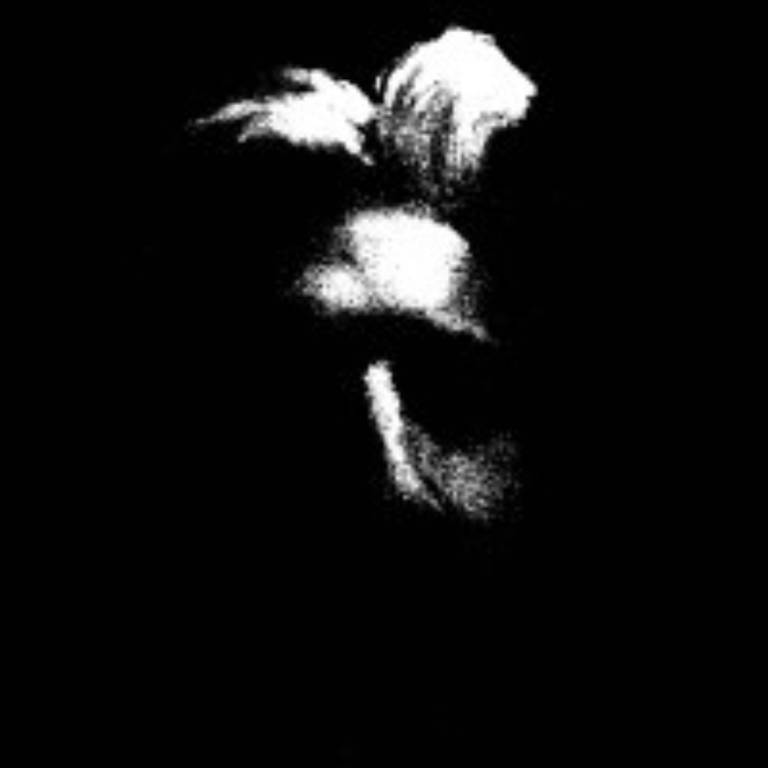 Zachary Le Vey