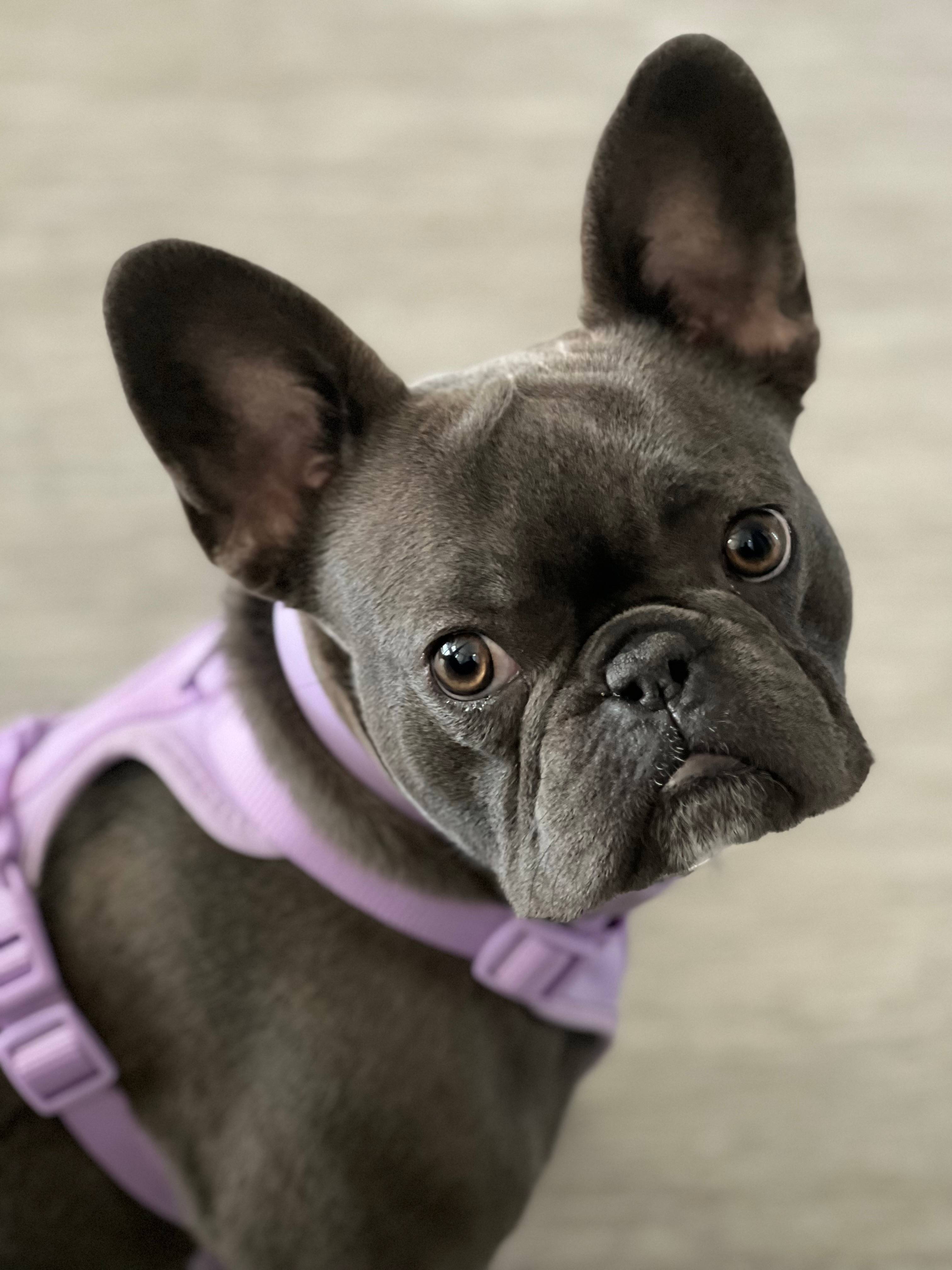Natalie Gaye