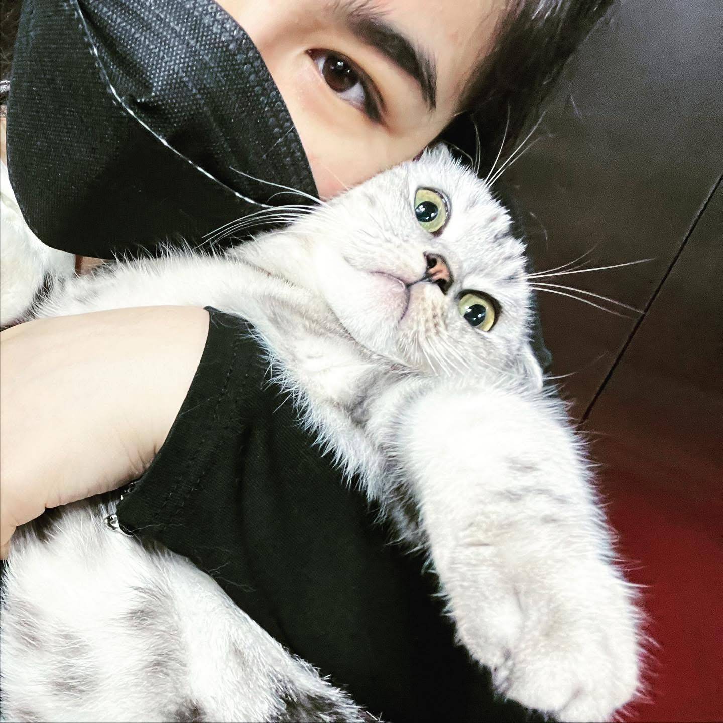 Khanh Vi Nguyen