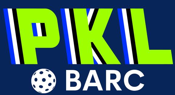 BARC INDOOR Pickleball Tournament by Bay Area Real Estate Group
