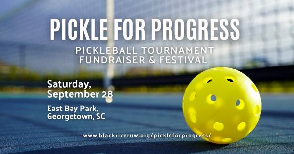 Pickle for Progress