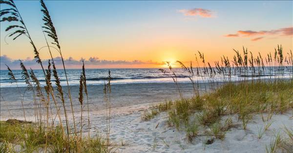 Amelia Island April Pickleball Cup