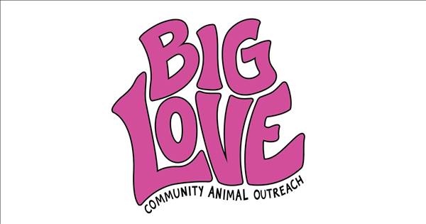 Big Love Pickleball Fundraiser