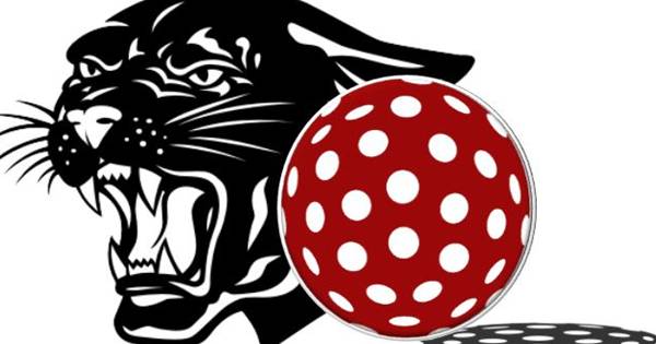 Christmas in July Parma Fundraiser