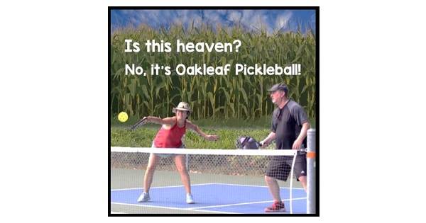 If You Build It They Will Come Oakleaf Pickleball Fundraiser