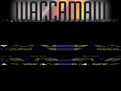 2019 Waccamaw Senior Classic Pickleball