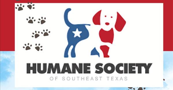Dog Days of Summer Pickleball and Ping Pong Tournament benefitting the Humane Society