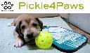 2nd Annual Pickle4Paws