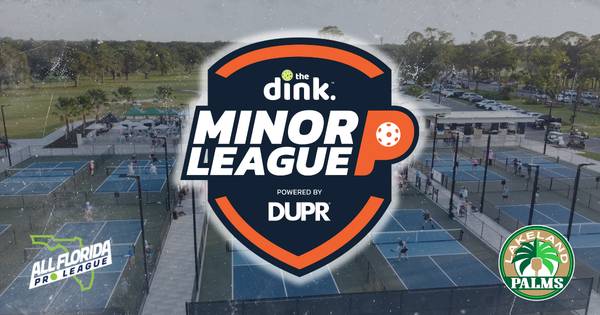 The Dink Minor League Pickelball @ Lone Palm ~ Lakeland, Florida