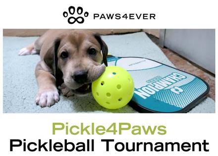 Pickleball Tournament