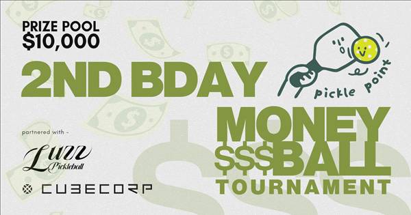 Picklepoint - 2nd Birthday MONEYBALL